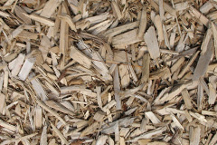 biomass boilers Jedurgh